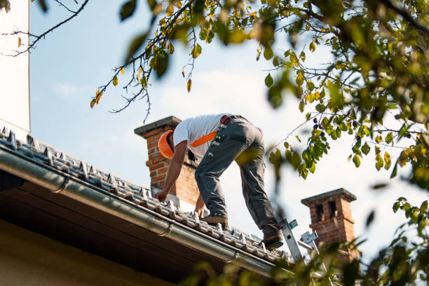 Best Roof Waterproofing Services  in East Peoria, IL